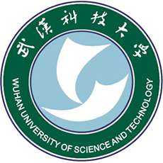 Wuhan University of Science & Technology monogram