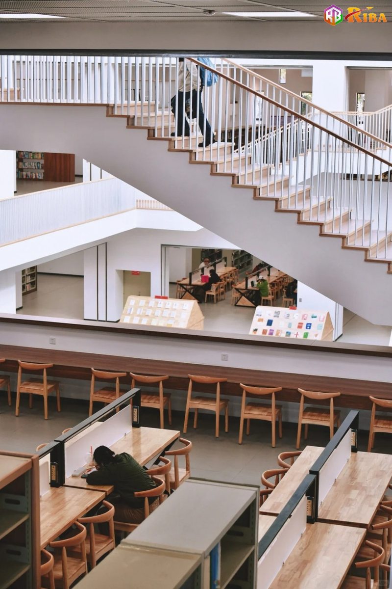Dali University Library Interior