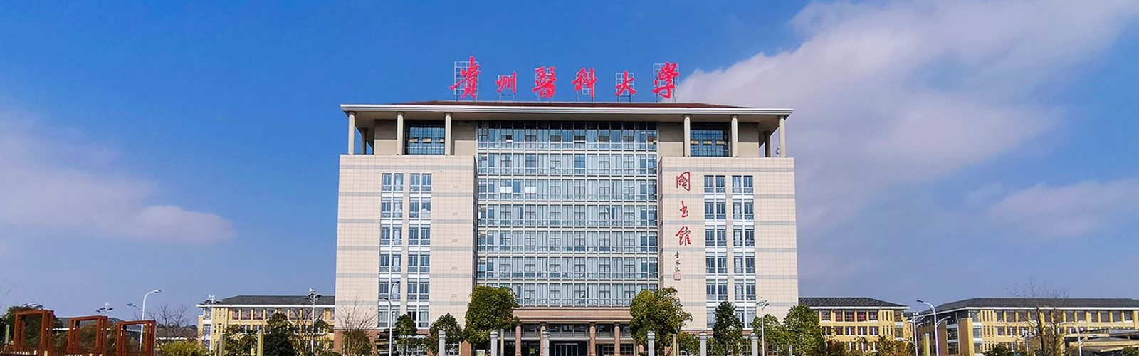 Guizhou Medical University library