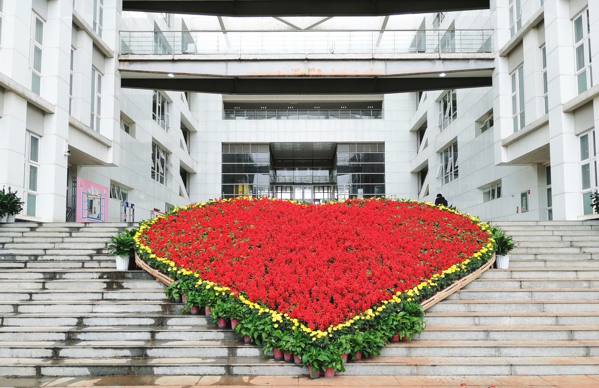 Library entrance and flower display at Kunming Medical University