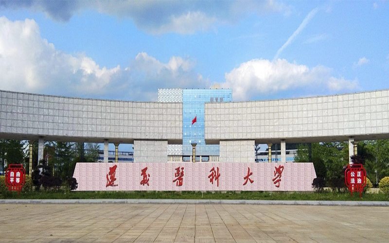 Zunyi Medical University Entrance